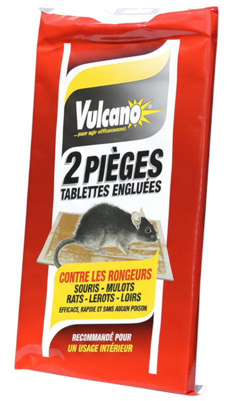 TABLETTES COLLANTE RATICIDE PAE AVEC APPAT INCORPORE LOT DE 2