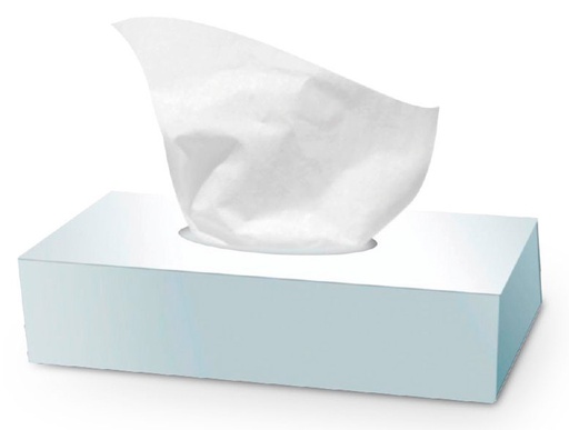 [ORA186] MOUCHOIRS RECTANGULAIRE BTE DE 100 FEUILLES