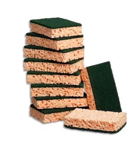 [TAMP375] EPONGE VEGETALE/ABRASIVE PM PQT DE 10 PCS