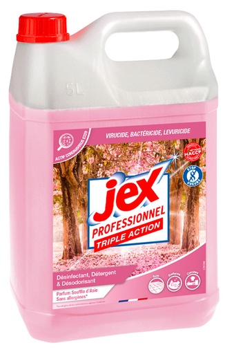 [PV56091103] NETT.EXPRESS DESINF.JEX PRO.TRIPLE ACTION SOUFFLE D'ASIE 5L